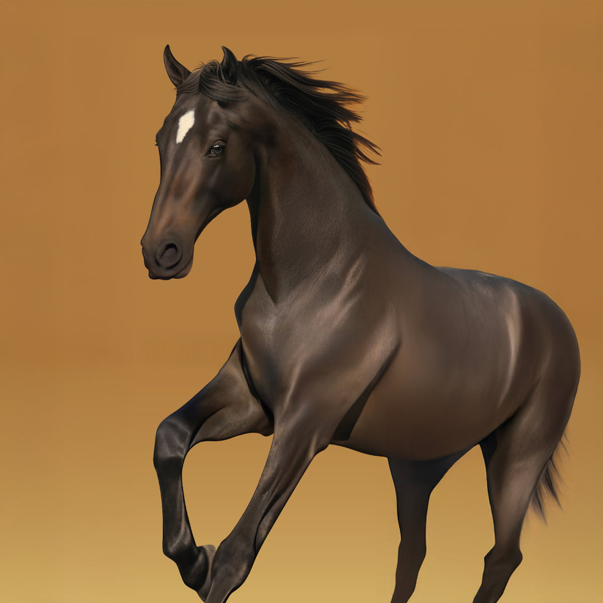 BLACK CARAMEL